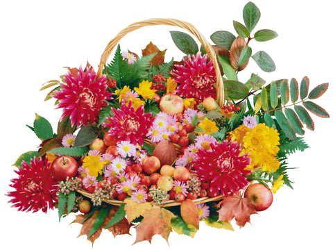 Fruits & Flower Basket